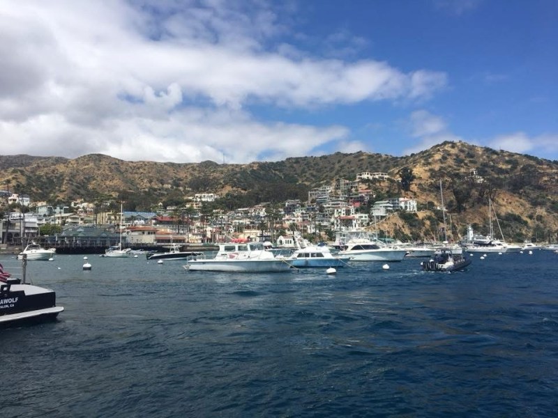 Catalina Island, California